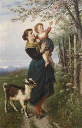 Die Kirschblüten